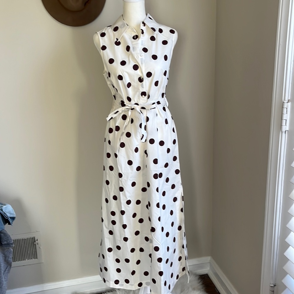 Mango Polka Dot Dress